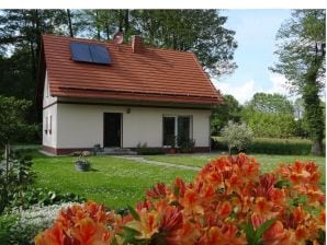 Ferienhaus Bier - Burg im Spreewald - image1