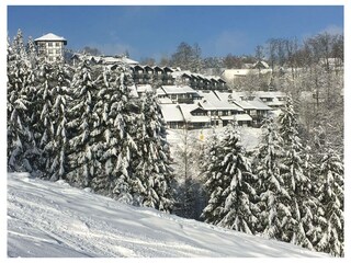 Ferienwohnung Winterberg Außenaufnahme 20