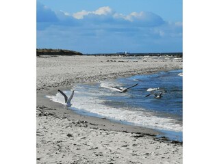 Ferienwohnung Schönberger Strand Außenaufnahme 7