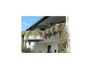 Ferienwohnung Olsberg Außenaufnahme 18