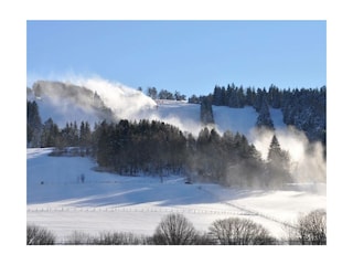 Ferienwohnung Willingen Außenaufnahme 8