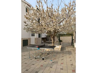 Holiday house Sveti Petar Outdoor Recording 10