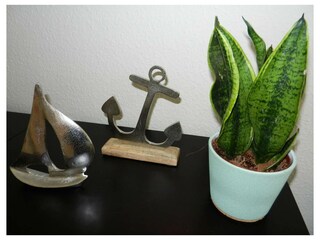 Ferienwohnung Kappeln Außenaufnahme 16