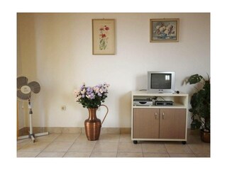 Ferienwohnung Povljana Außenaufnahme 4