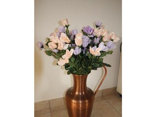 Ferienwohnung Povljana Außenaufnahme 7