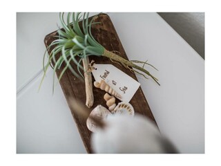 Ferienwohnung Friedrichshafen Außenaufnahme 11