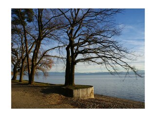 Ferienwohnung Friedrichshafen Außenaufnahme 20