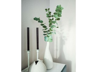 Ferienwohnung Friedrichshafen Außenaufnahme 25