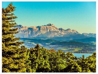 Ferienwohnung Friedrichshafen Außenaufnahme 24