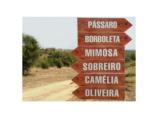Ferienwohnung Santiago do Cacém Außenaufnahme 16
