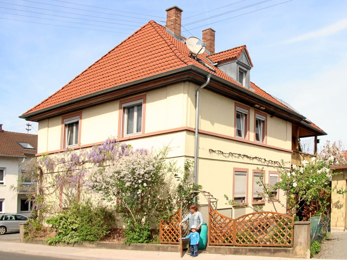 Holiday apartment Lauda-Königshofen Outdoor Recording 1