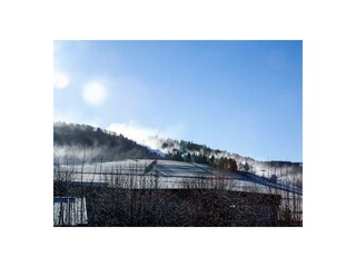 Ferienwohnung Winterberg Außenaufnahme 5