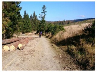 Ferienwohnung Winterberg Außenaufnahme 30
