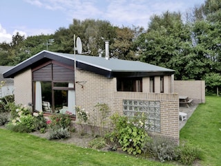 Zeehond Gesamtansicht