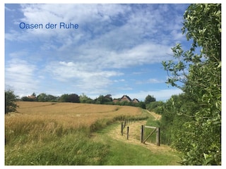 Ferienwohnung Wendtorf Außenaufnahme 19
