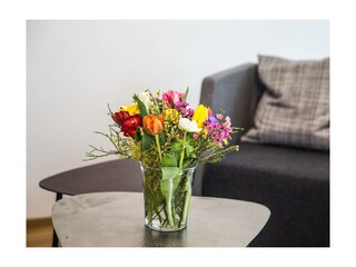 Ferienwohnung Friedrichshafen Außenaufnahme 9