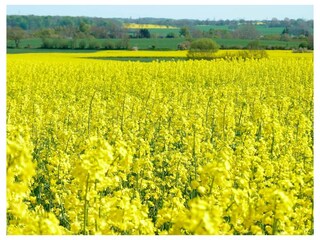 Ferienwohnung Grödersby Außenaufnahme 10