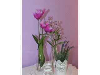 Ferienwohnung Wendtorf Außenaufnahme 7