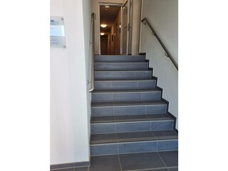 Ferienwohnung Olpenitz Außenaufnahme 15