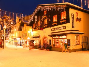 Apartment Das Baderhaus - Zell am See - image1