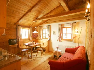 Appartamento Zell am See Caratteristiche 10