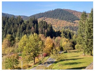 Ferienwohnung Winterberg Außenaufnahme 22