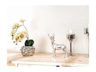 Ferienwohnung Winterberg Außenaufnahme 6