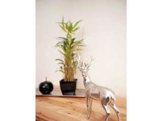 Ferienwohnung Winterberg Außenaufnahme 8