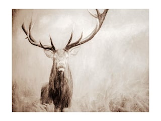 Ferienwohnung Winterberg Außenaufnahme 9