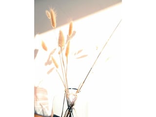 Ferienwohnung Winterberg Außenaufnahme 10