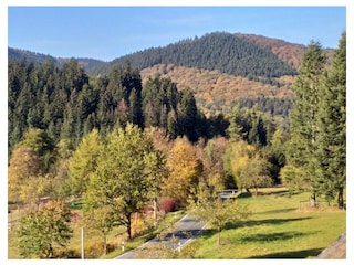 Ferienwohnung Winterberg Außenaufnahme 24