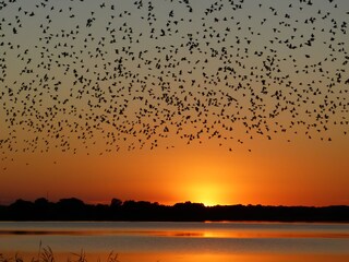 Appartamento per vacanze Ziethen Ambiente 23