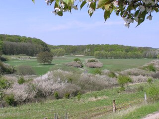 Appartamento per vacanze Ziethen Ambiente 26