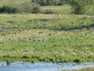 Appartamento per vacanze Ziethen Ambiente 19