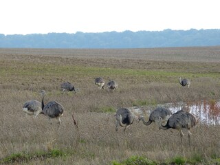 Appartamento per vacanze Ziethen Ambiente 21