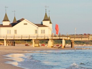 Ferienwohnung Ahlbeck (Usedom) Umgebung 13