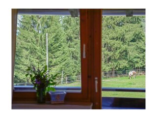 Ferienwohnung Pfronten Außenaufnahme 5