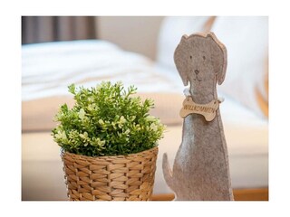 Ferienwohnung Pfronten Außenaufnahme 3