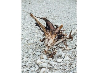 Ferienwohnung Pfronten Außenaufnahme 11