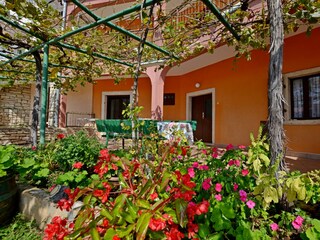 Ferienhaus Vodnjan Außenaufnahme 3