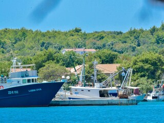 Apartment Kukljica (Dalmatien) Features 16