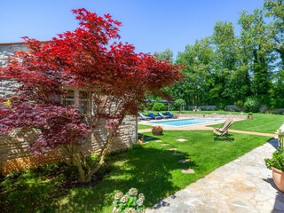 Holiday house Manjadvorci Features 21