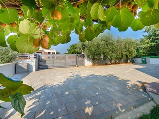 Apartment Mali Maj Features 13