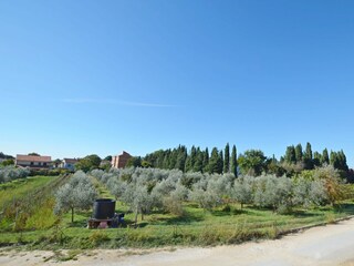 Apartment Ližnjan Außenaufnahme 6