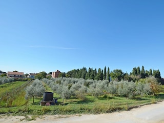 Apartment Ližnjan Außenaufnahme 3