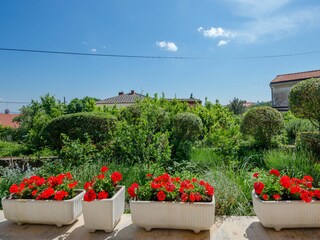 Apartment Kornić Außenaufnahme 2