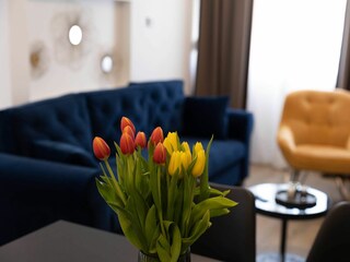 Apartment Crikvenica Features 24