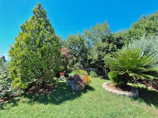 Apartment Crikvenica Features 26