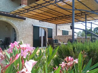 Holiday house Novigrad (Istrien) Features 39