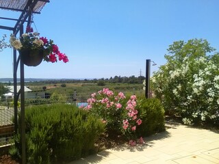 Ferienhaus Novigrad (Istrien) Außenaufnahme 2